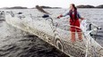 voederen van de SCHOTSE zalm in een farm die behoort bij LOCH DUART  