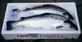  kist SCHOTSE zalm van onze huisleverancier "LOCH DUART", bekend voor zijn duurzame kweek!!  
